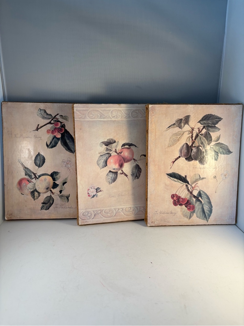 Three Fabrice de Villeneuve‎ Mounted Prints Fruits Canvas Burlap Canada 8”x6.25”